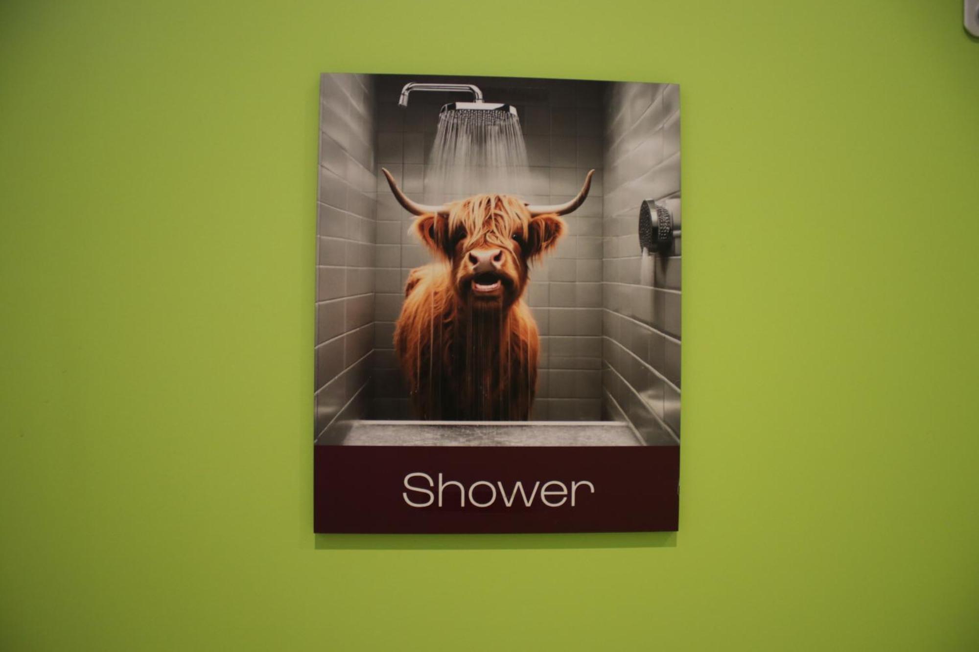 Hostel Cowgate Edinburgh